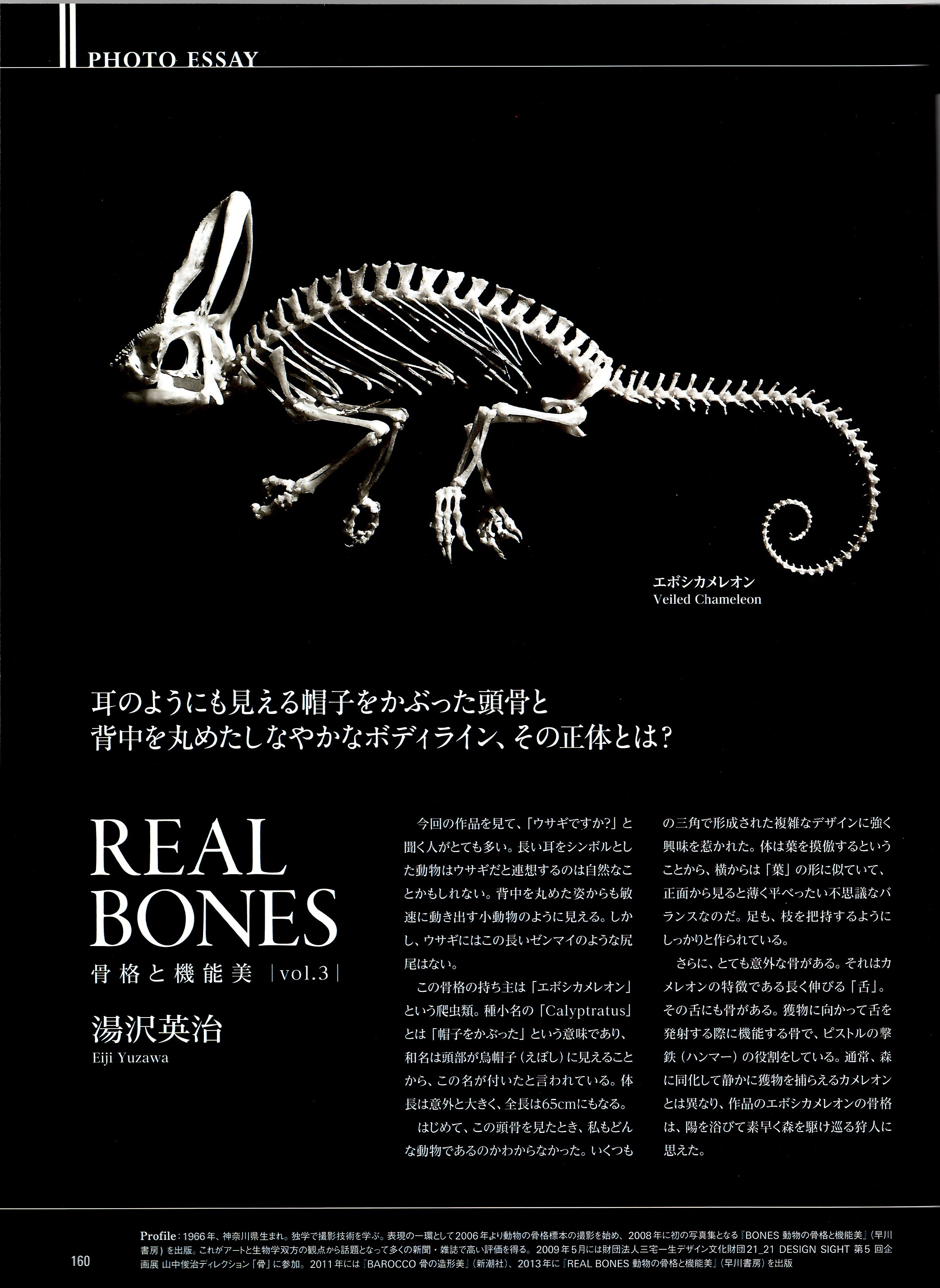 REAL BONES 骨格と機能美-